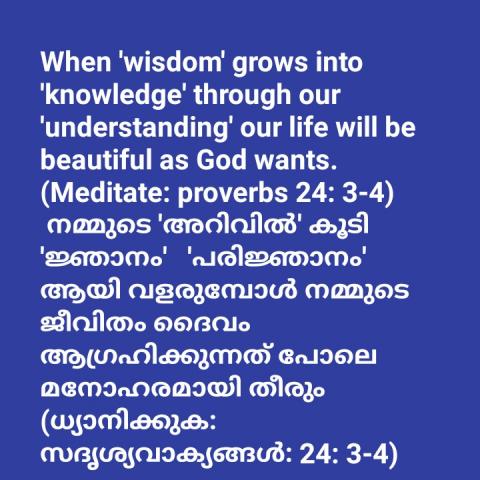 P31_When wisdom grows into knowledge through our understanding , our life will be beautiful as God wants.
