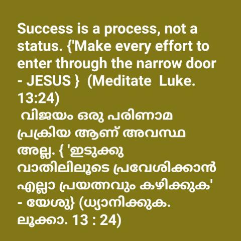 Success is a process, not a status. {'Make every effort to enter through the narrow door - JESUS }  (Meditate  Luke 13:24)