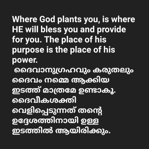 Where God plants you, is where HE will bless you and provide for you. The place of his purpose is the place of his power.    ദൈവാനുഗ്രഹവും കരുതലും ദൈവം നമ്മെ ആക്കിയ ഇടത്ത്‌ മാത്രമേ ഉണ്ടാകൂ. ദൈവീകശക്തി വെളിപ്പെടുന്നത് തന്റെ ഉദ്ദേശത്തിനായി ഉള്ള ഇടത്തിൽ ആയിരിക്കും.