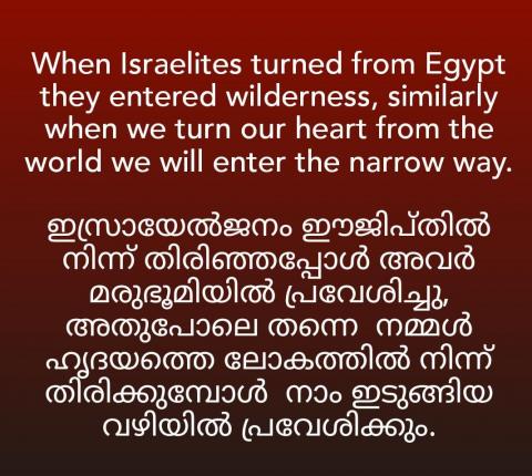 When Israelites turned from Egypt they entered wilderness, 