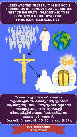Jesus was the ‘first fruit’ in the God’s production of ‘son’s of God’. We are the rest of the fruits, predestined to be conformed to the ‘first fruit’. (Med. 1 Cor.15:23,Rom.8:29)
