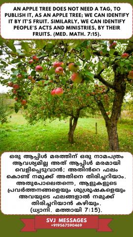 An apple tree does not need a tag to publish it as an apple tree, we can identify it by its fruit, similarly we can identify people’s acts and ministries by their fruits. (Med. Mat.7:15-20 )