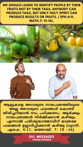We should learn to identify people by their fruits not by their tags,