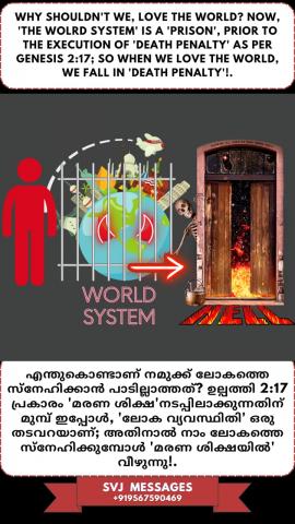 Why should we not love the world? 