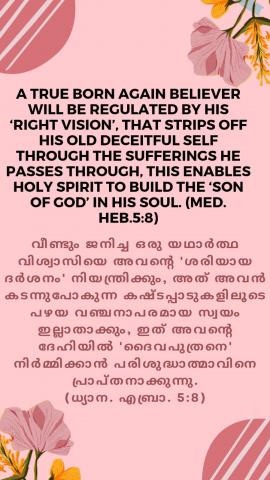 A true born again believer will be regulated by his ‘right vision’, that strips off his old deceitful self through the sufferings he passes through, this enables Holy Spirit to build the ‘son of God’ in his soul. (Med. Heb.5:8).