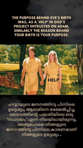 The purpose behind Eve’s birth was, as a ‘help’ in God’s project entrusted on Adam. Similarly the reason behind your birth is your purpose.