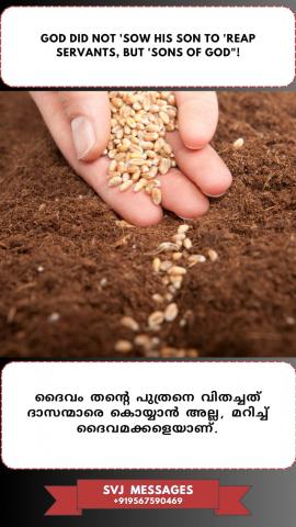 God did not sow ‘His son’ to reap ‘servants’, God sow ‘His son’ to reap ‘sons of God’!