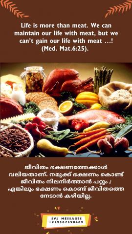 Life is more than meat. We can maintain our life with meat, but we can’t gain our life with meat …! (Med. Mat.6:25).
