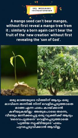 A mango  seed can’t bear mangos without first reveal a mango tree from it, similarly a born again can’t bear the fruit of the ‘new creation’ without first reveal ‘the son of God’.