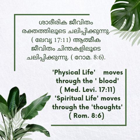 ‘Physical Life’ moves through the ‘blood’. [Med. Lavi.17:11]. ‘Spiritual life’ moves through the ‘thoughts’ [Rom.8:6] .