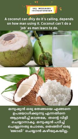 A coconut can only do it’s calling depends on how man using it. Coconut can’t do a ‘job’ as man learn to do.