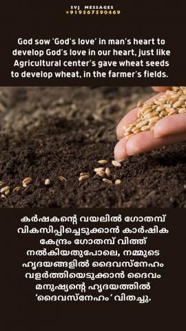 God saw ‘God’s love’ in man’s heart to develop God’s love in our heart just like Agricultural center gave wheat seeds to develop wheat in the farmer’s field.