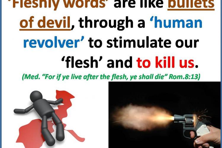 Fleshly words are like bullets