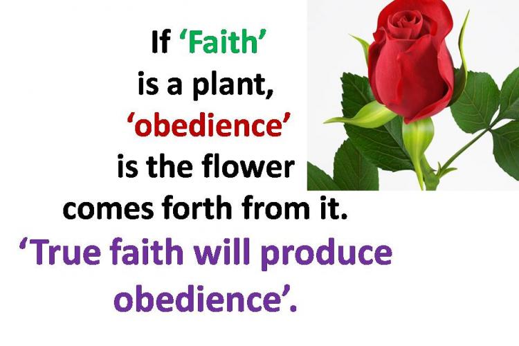 If faith is a plant obedience is flower comes forth from it.